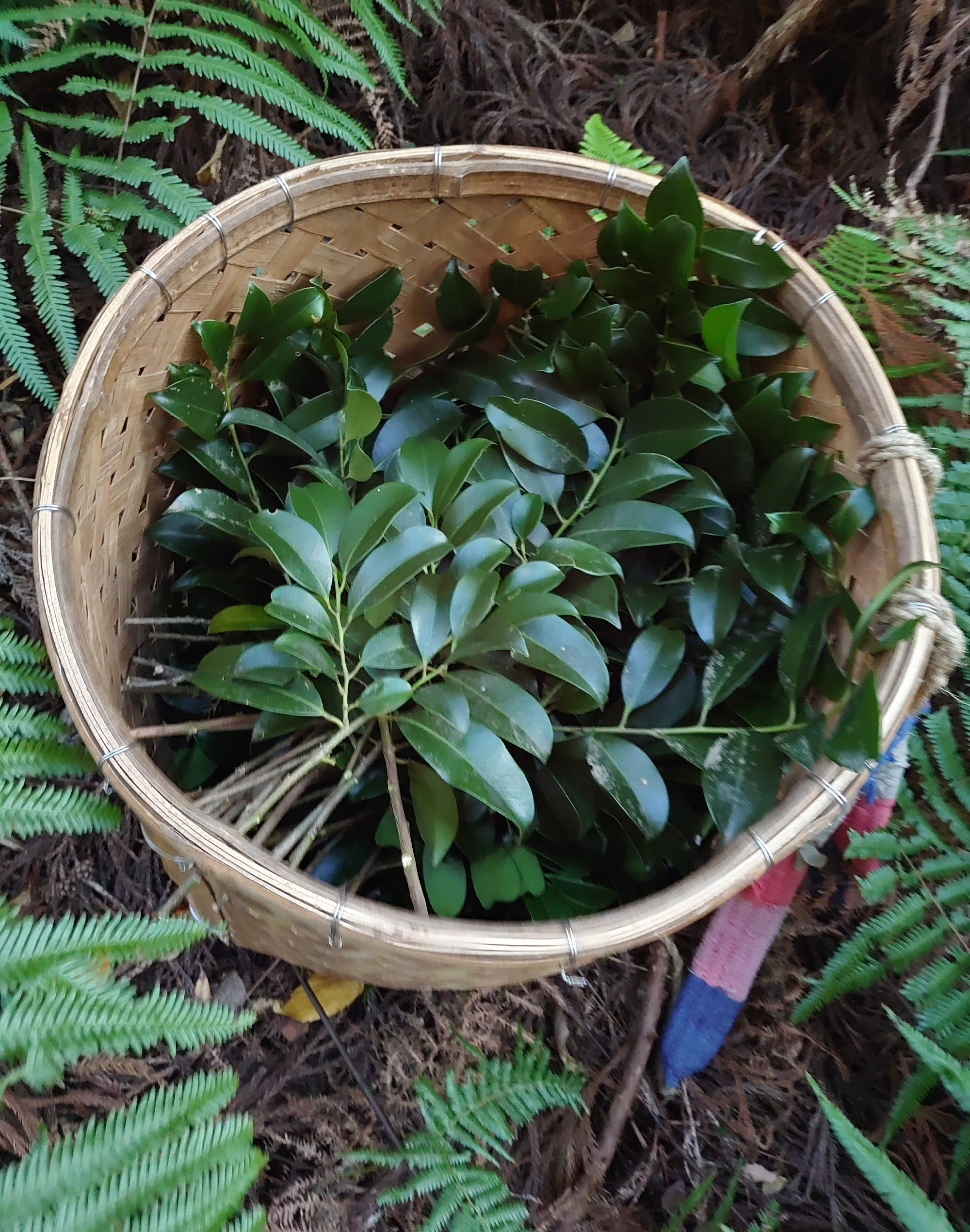 SDGsへの取り組み